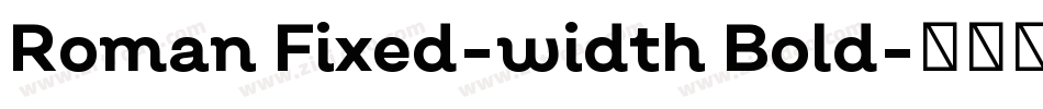 Roman Fixed-width Bold字体转换
